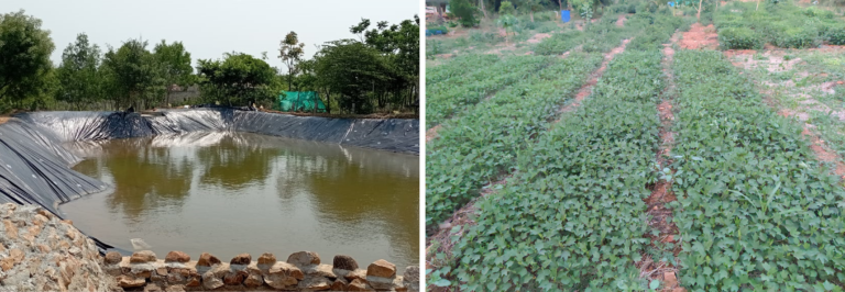 A robust irrigation system that can support healthy harvests