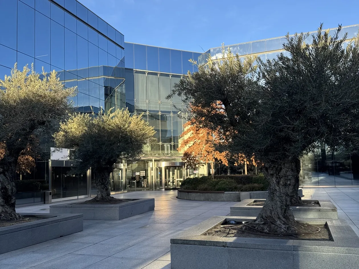 Madrid office landscape